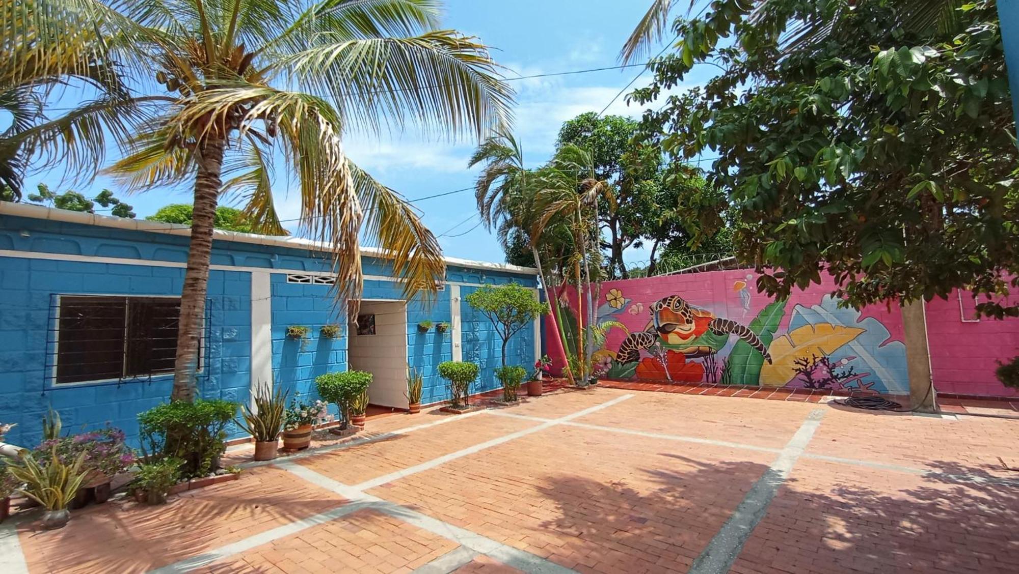 Monkey Man, Beach House — Fotos 2
